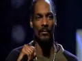 Snoop Dogg feat. Xzibit & Nate Dogg - Bitch Please Live