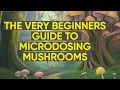 The 2025-2026 Absolute Beginners Guide To Microdosing Magic Mushrooms