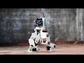 Arduino Controlled Robotic Biped - Test and Demo