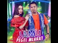 Jamu Pegel Mlarat (feat. Brodin) - Tasya Rosmala