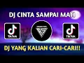 Download Lagu DJ CINTA SAMPAI MATI RAFFA AFFAR REMIX VIRAL TIKTOK TERBARU 2022
