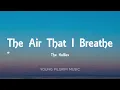 The Hollies - The Air That I Breathe (Lyrics)