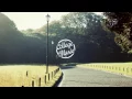 Nick Leng - Leaves