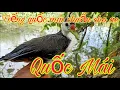 Download Lagu Tiếng Quốc Mái