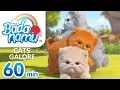Download Lagu Cats Galore | Badanamu Compilation l Nursery Rhymes \u0026 Kids Songs