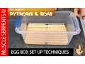 Python Egg Box Setup A New Look palumbospythons boas