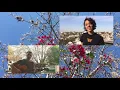 Primavera - (Ainda Dúo feat. Drexler)