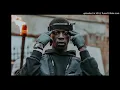 Pa Salieu feat BackRoad Gee - My Family