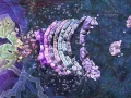 Cell Organelles 3 Golgi Apparatus