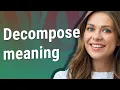 Decompose meaning of Decompose