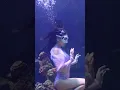 Download Lagu PADI FREEDIVING : #tiktok #shorts #underwater #freediving #mermaid #ocean #extreme