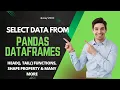 How to access data from Pandas DataFrame in Python Pandas Tutorial series