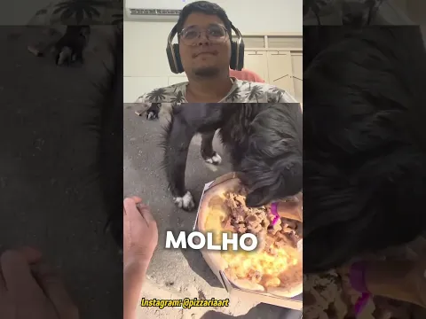DEIXE SUA CURTIDA PRA ESSE HERÓI 🥹 #familia #cachorro #pizza #noticias #youtubeshorts #shorts