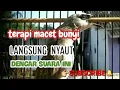 Download Lagu Terapi Trucuk Males Bunyi Dengan Suara Trucukan Betina Memanggil Jantan/mp3