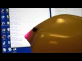 Finch Which Way program - sample execution