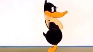 مش بشوف زيك يا بطه 