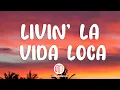 Download Lagu Ricky Martin - Livin' La Vida Loca (Letra / Lyrics)