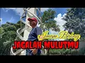 Download Lagu JAGALAH MULUTMU ~ Tommy J'pisa || {Cover} Imam Babay