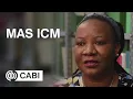 Download Lagu MAS ICM 2018 - Ann Bulya