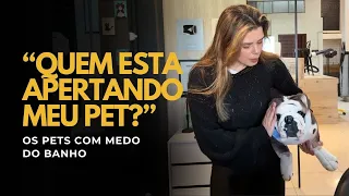 MEU PET TREME MUITO QUANDO CHEGA NO PETSHOP !