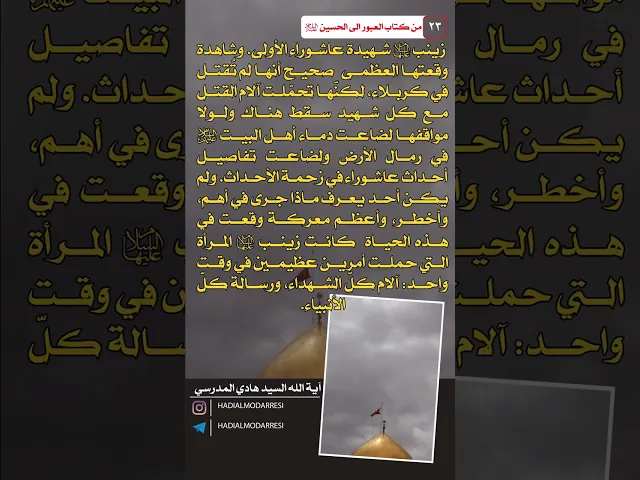 ⁣العبور الى الحسين عليه السلام (22) زينب شهيدة عاشوراء الاولى  #السيد_هادي_المدرسي #كربلاء #النجف