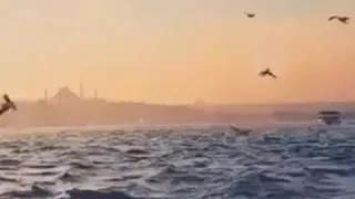 كلك معايا اجمل حكاية دندنها