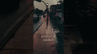 فلينا و باقي بعنينا أشواق و حكي 