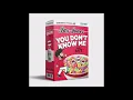Download Lagu JAX JONES Feat. RAYE - You Don't Know Me (2018)