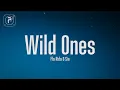 Download Lagu Flo Rida - Wild Ones (Lyrics) ft. Sia