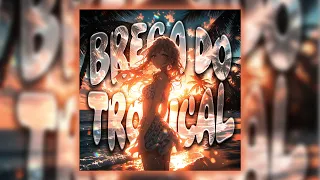 BREGA DO TROPICAL (Visualizer)