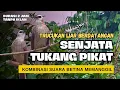 Pikat trucukan paling ampuh suara trucukan ribut betina memanggil jantan , trucukan liar berdatangan