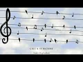 Download Lagu Iranian/Persian Dinner Music - Soft \u0026 Relaxing Instrumental Melodies موسیقی ملایم بی کلام ایرانی شاد