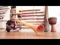 Download Lagu Twistedidge at Didgeridoo Breath