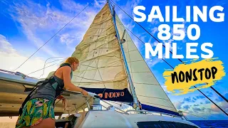 Sailing to NEW ZEALAND! [RED SEAS]