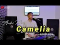 Download Lagu DANGDUT TERBARU | CAMELIA | (H.RHOMA IRAMA ) COV:ANDRIKHAN
