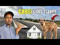 Download Lagu Xaafada Cidlada laga dhisay 500 oo Guri hada farta laga qaaday