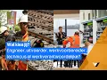 Download Lagu Informatieavond: Ontwikkeltrajecten tot technicus