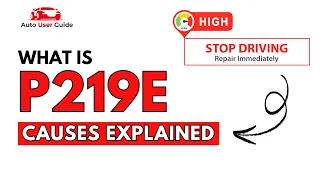 What is P219E Engine Error Code Causes Explained