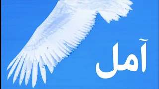 شهاب أمل  صوت فقط                           دندنها