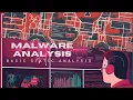 Malware Analysis - Basic Static Analysis