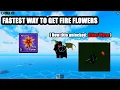 Download Lagu FASTEST WAY to get FIRE FLOWERS for Draco Race v2 | Blox Fruits