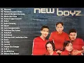 Download Lagu Tembang 90an NEW BOYZ - Full Album Terbaik New Boyz