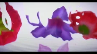 GARNET CROW「花は咲いて ただ揺れて」