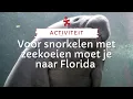 Lagu Voor snorkelen met zeekoeien moet je naar Florida | Riksja Travel