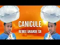 Download Lagu CANICULE (Remix Anande SB)