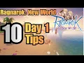 Ragnarok New World 10 Day 1 Tips for Beginners