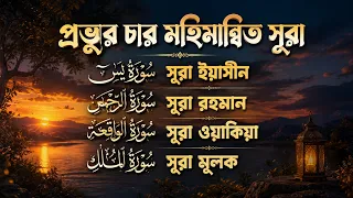 সূরা আর রহমান, সূরা ইয়াসিন, সূরা ওয়াকিয়া, সূরা মুলক_Best Quran Recitation by Zain Abu KAUTSAR