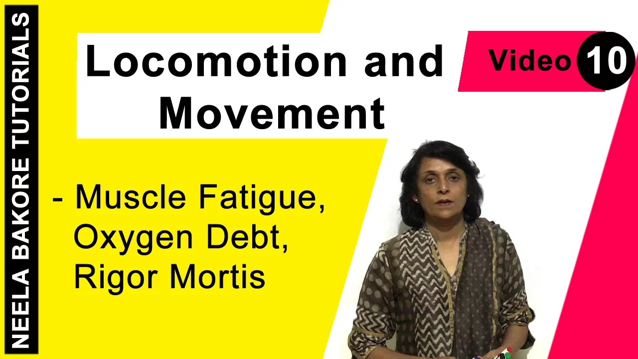 Locomotion and Movement | NEET | Muscle Fatigue, Oxygen Debt, Rigor Mortis | Neela Bakore Tutorials