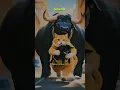 Download Lagu Ya Rab Ul Al Amin🥰 || Beautiful Naat || #cutecat #cute #cartoon #trending #cutebaby #adopcat