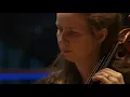 Concertino Grosso - Manu Delago & London Symphony Orchestra strings